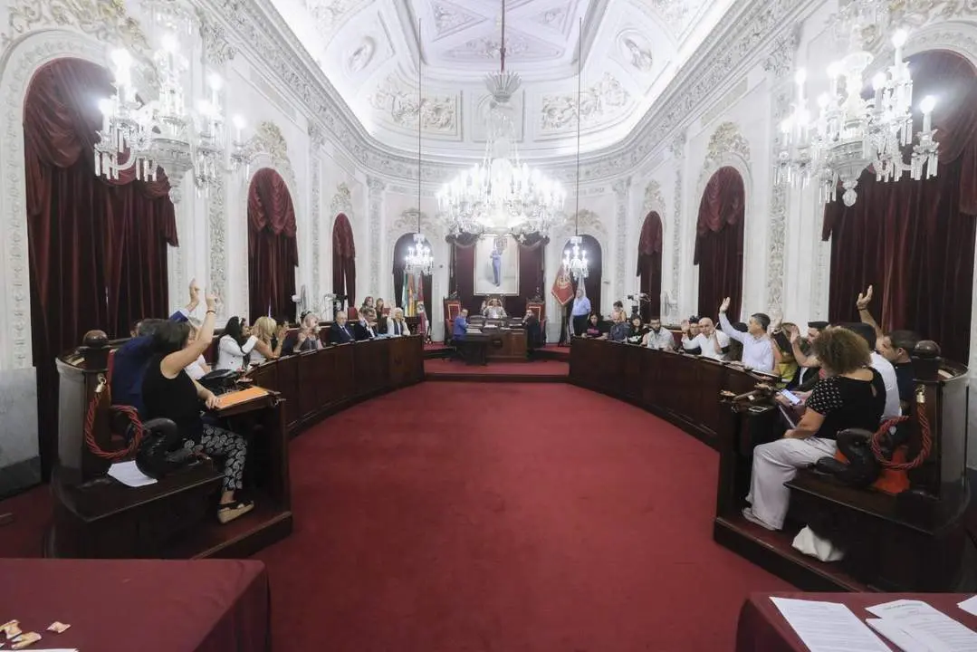 Pleno municipal - AI