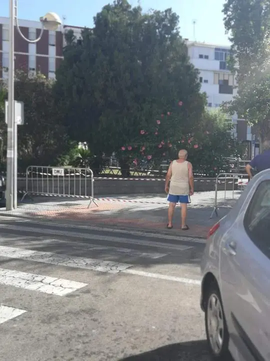 Labores de fumigaci&oacute;n. - Viva