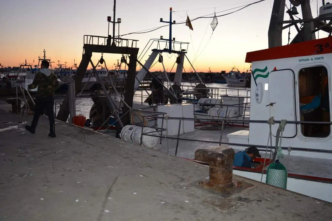 Barcos de la chirla en el puerto de Bonanza. - C. Cruz