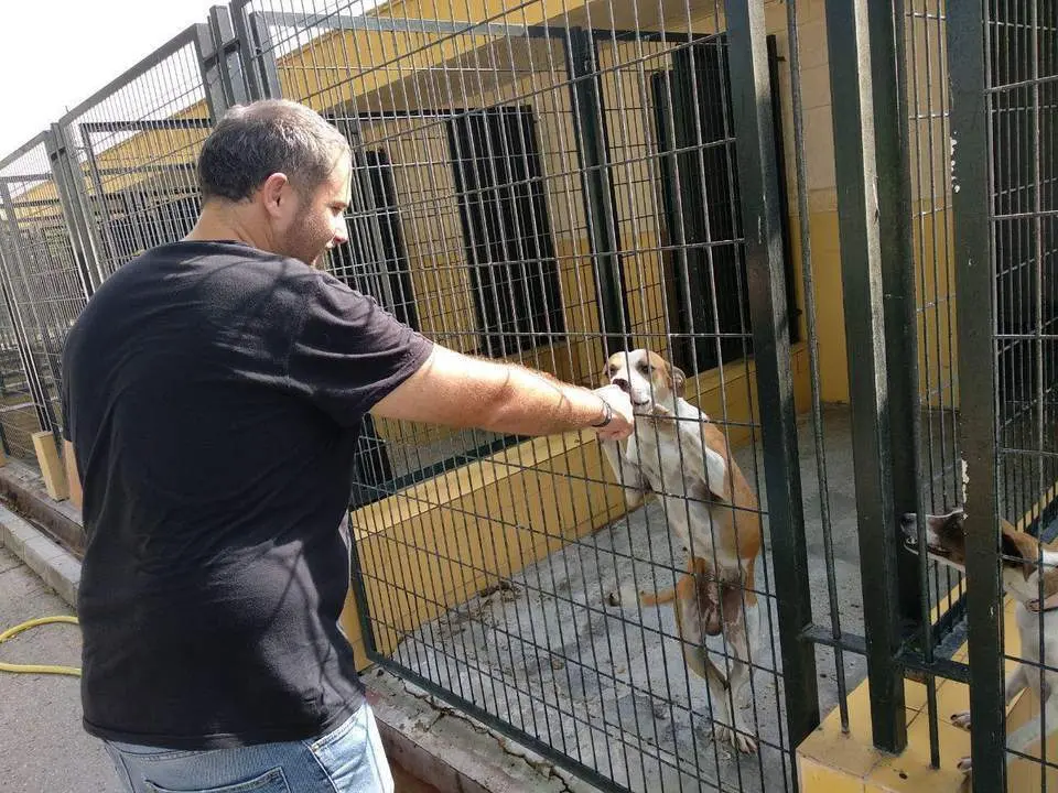 Santiago S&aacute;nchez, en el centro zoosanitario.  - Andaluc&iacute;a Informaci&oacute;n