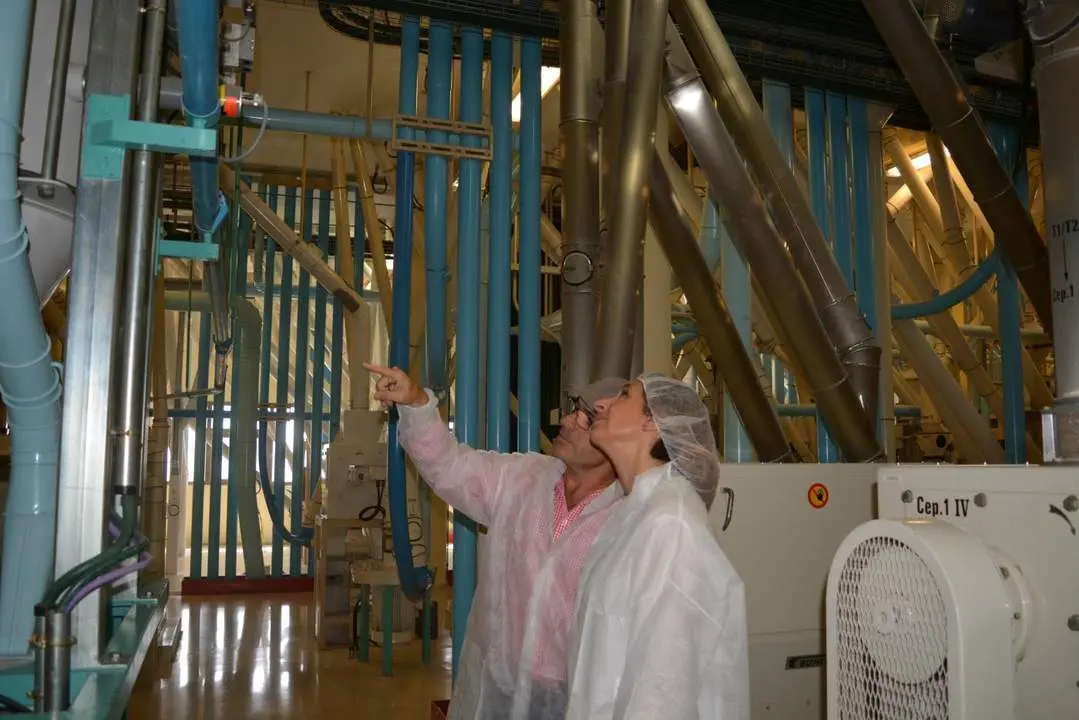 Visita de Rodr&iacute;guez. - AI