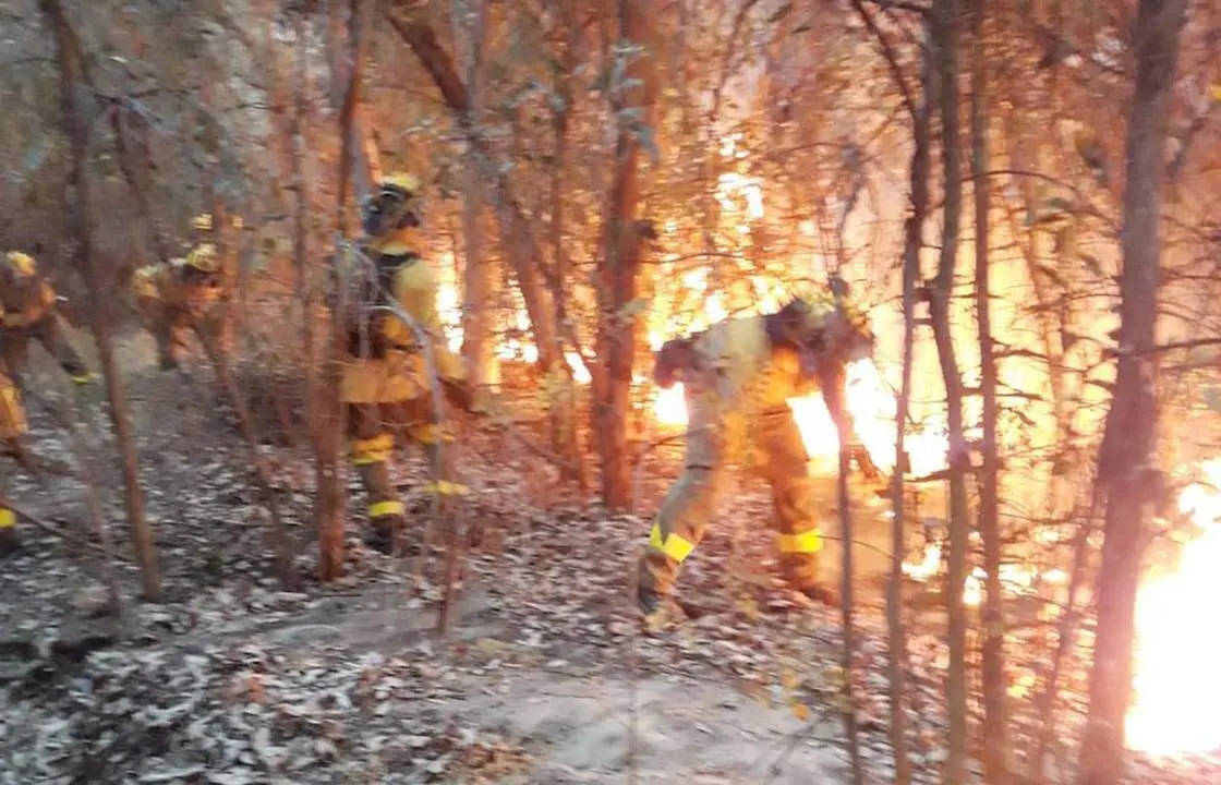 Incendio en Almonte. - INFOCA