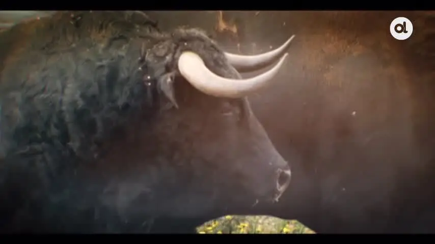 El Toro y el Caballo, la apuesta por la actualidad taurina y del campo