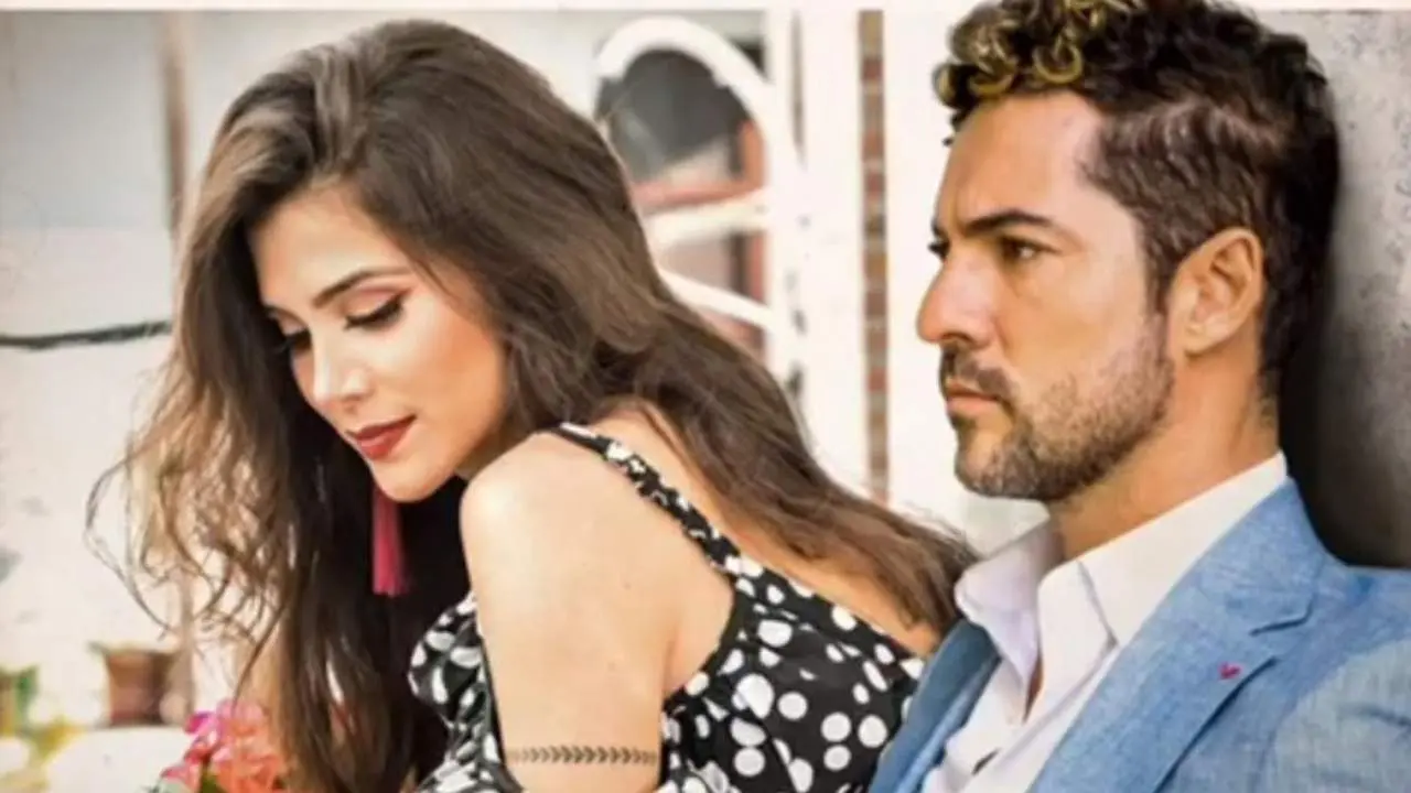 Un Bisbal con acompa&ntilde;amiento malague&ntilde;o. - ESAEM