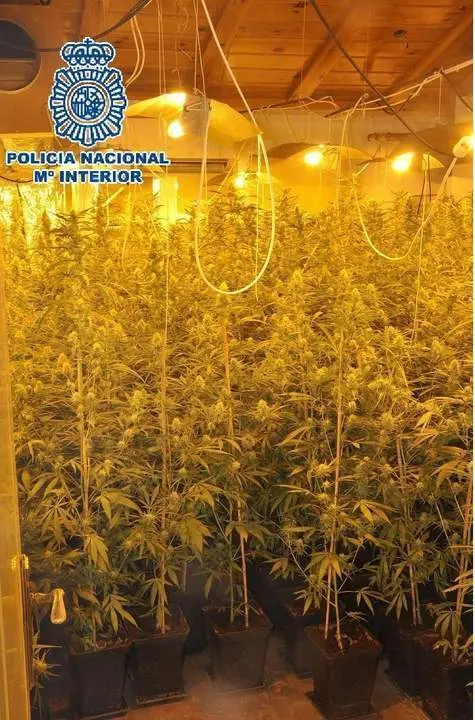 Laboratorio de V&eacute;lez-M&aacute;laga. - Polic&iacute;a Nacional.