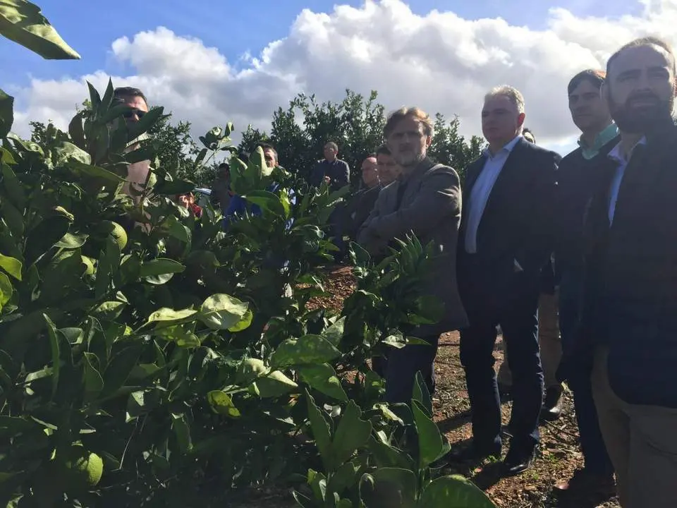 Fincas agr&iacute;colas de la provincia de Huelva. - VH