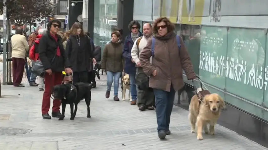 Invidentes y perros gu&iacute;a realizan un paseo reivindicativo