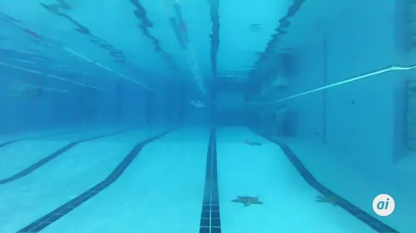 Miles de ni&ntilde;os disfrutan en Huelva de un bel&eacute;n dentro de una piscina