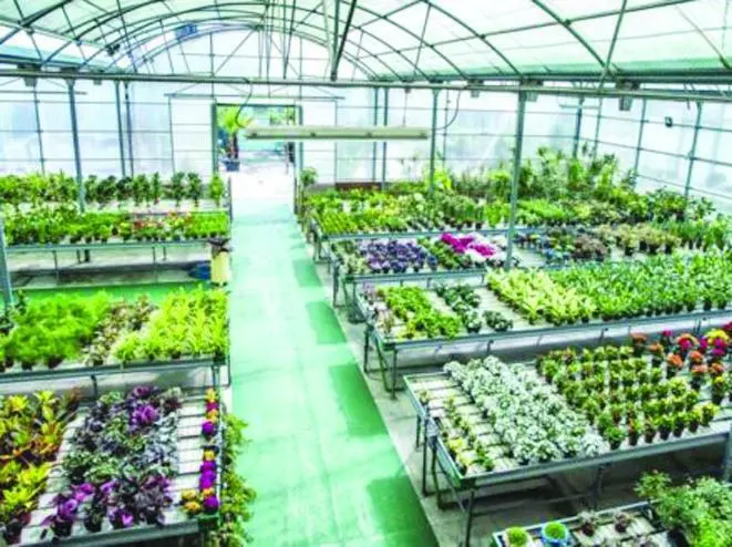 Dos de las plazas son para el Vivero de Torremolinos. - ROHU