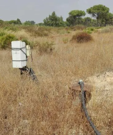 Do&ntilde;ana. - Europa Press