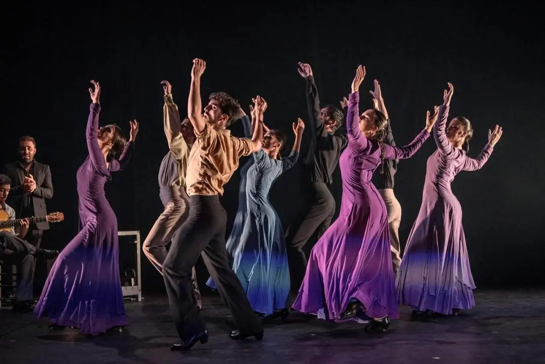 Ballet Flamenco de Andaluc&iacute;a. - AI
