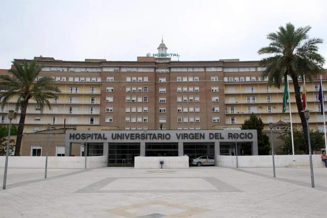 Hospital VIrgen del Roc&iacute;o. - Europa Press