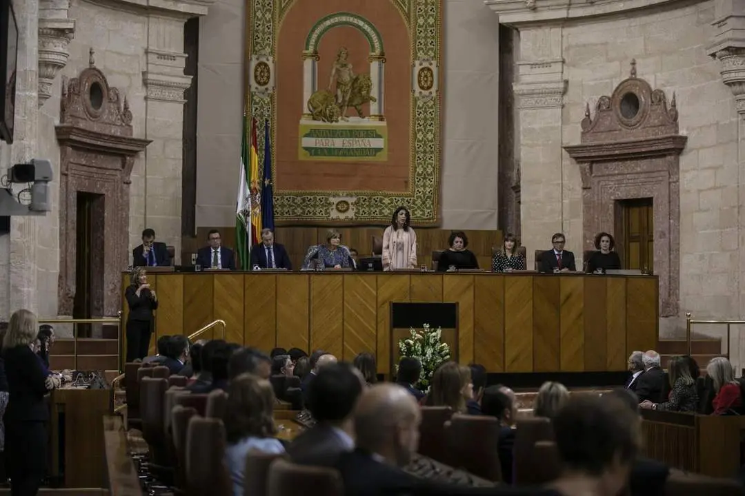 El Parlamento pone en marcha la segunda comisi&oacute;n de investigaci&oacute;n sobre la Faffe. - E. P.