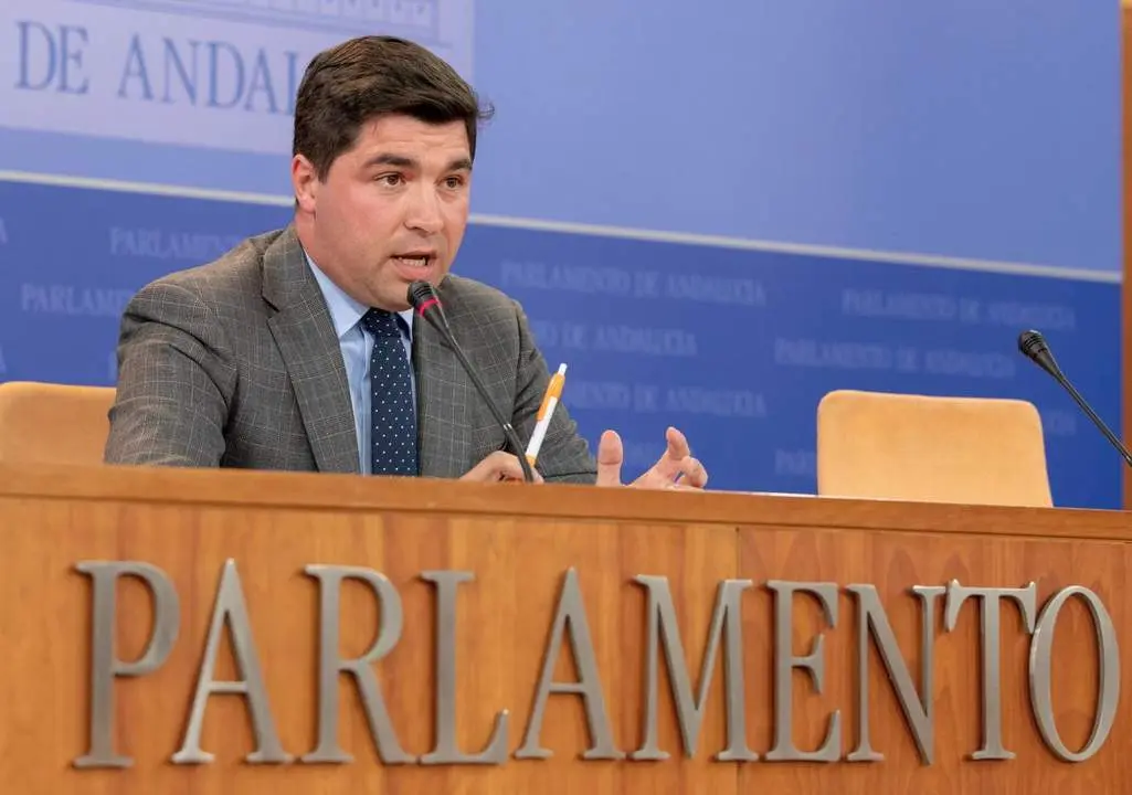 Enrique Moreno, de Cs, asegura que asume el cargo &ldquo;con mucho honor y responsabilidad&rdquo;.. - Julio Mu&ntilde;oz/EFE