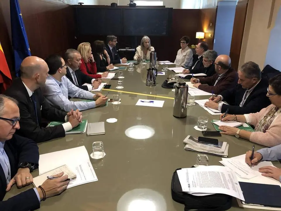 La consejera Patricia del Pozo, en la reuni&oacute;n del Consejo de Memoria Hist&oacute;rica. - Junta
