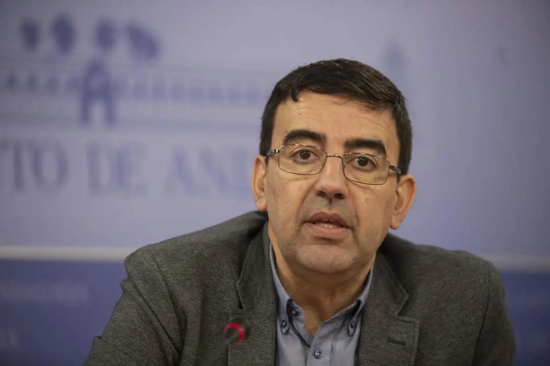 Mario Jim&eacute;nez, portavoz parlamentario del PSOE. - E. P.
