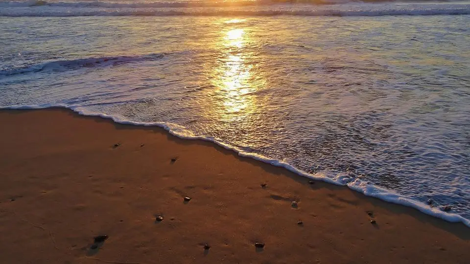 Orilla de la playa. - AI