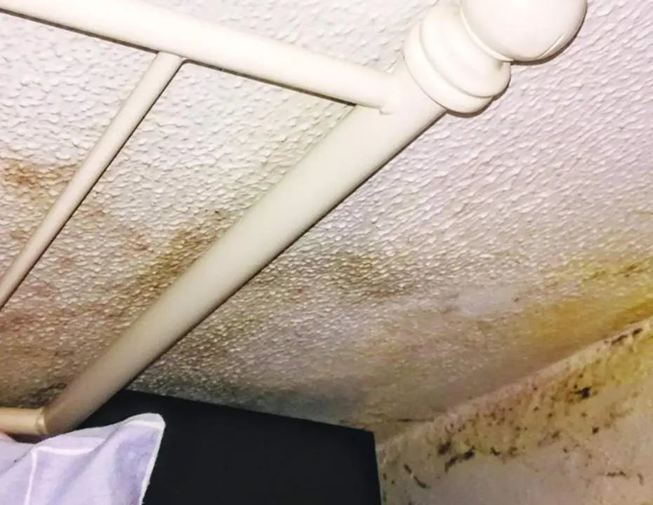 Humedades en la vivienda. - Viva