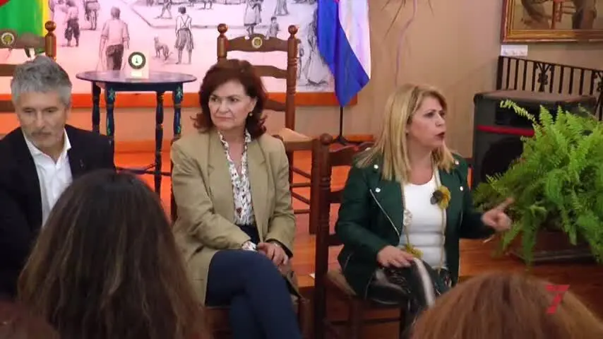 El PSOE buscar&aacute; l&iacute;neas de apoyo para ayudar a las pe&ntilde;as flamencas