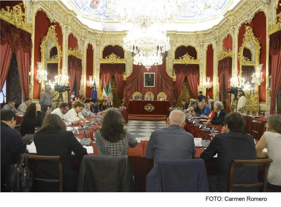 Pleno Diputaci&oacute;n C&aacute;diz - Carmen Romero