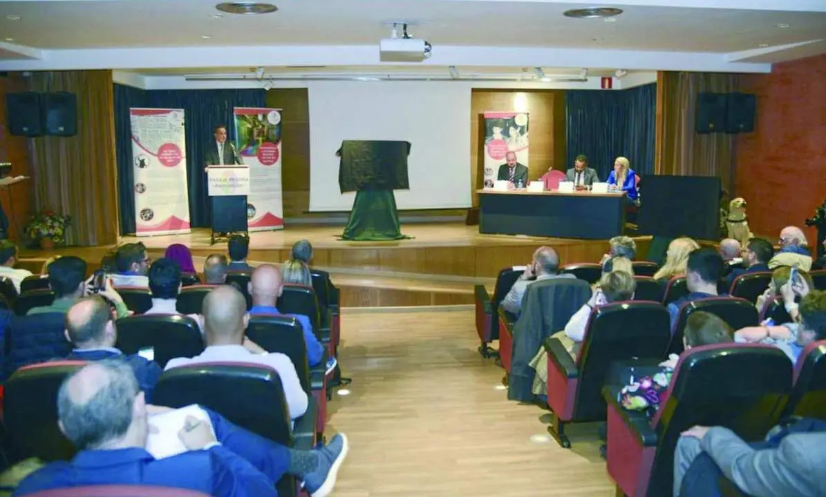 Presentaci&oacute;n de las conclusiones del estudio del Pasaje Bego&ntilde;a. - ROHU
