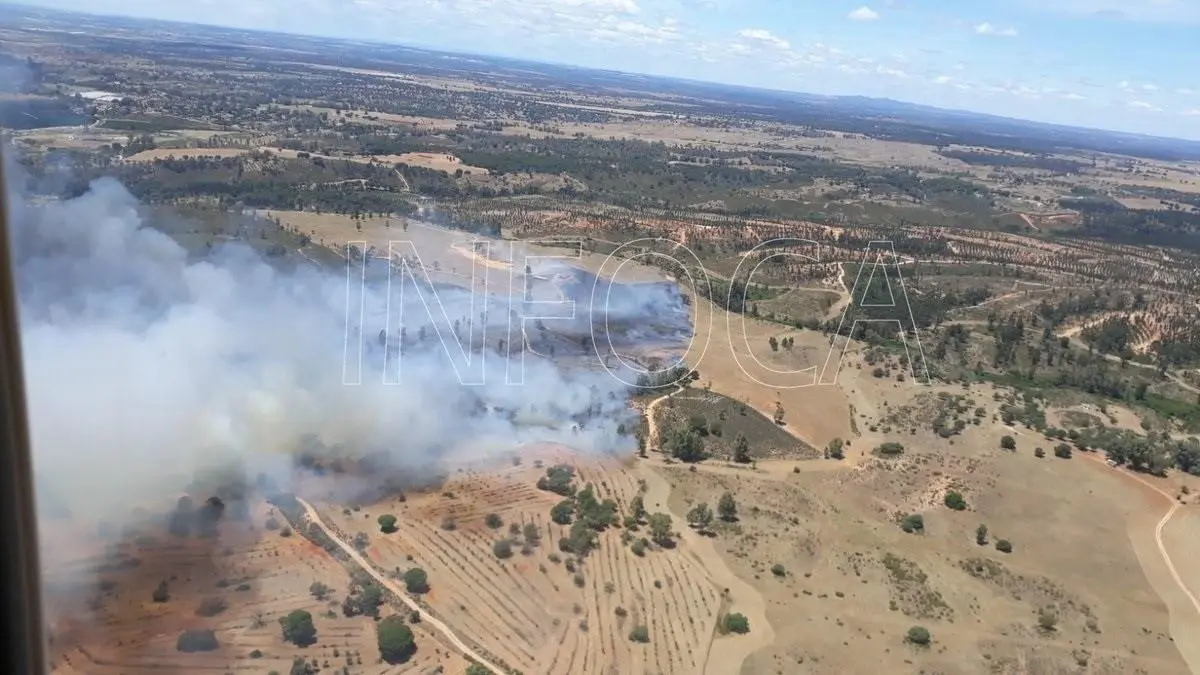 Incendio en Beas. - INFOCA