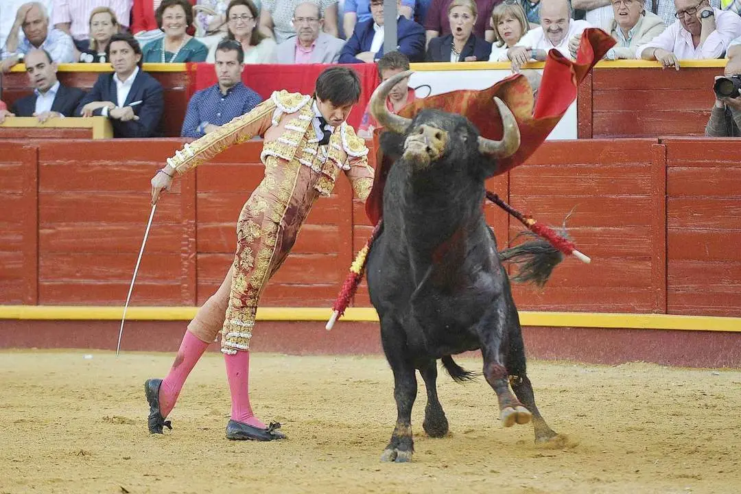 El torero peruano Roca Rey en la Plaza de Toros de El Pino - Jes&uacute;s Salido