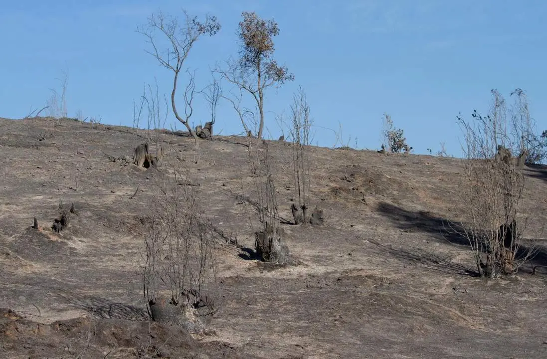 Controlado el incendio en Beas tras m&aacute;s de 24 horas de trabajo