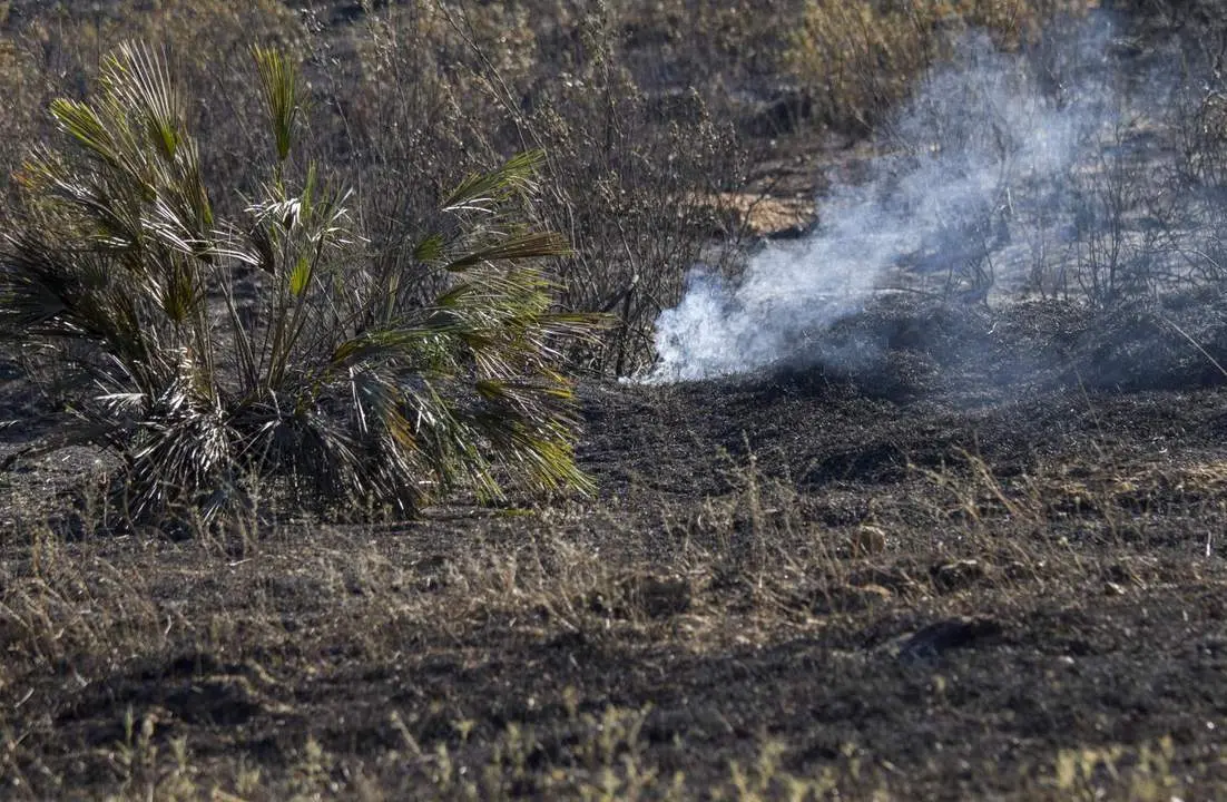 Incendio de Beas. - EP / A.P&Eacute;REZ