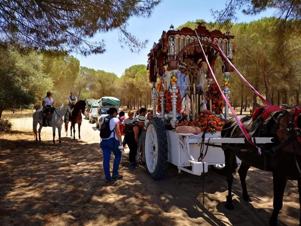 Los rocieros de Arcos en Almonte. - PANAL