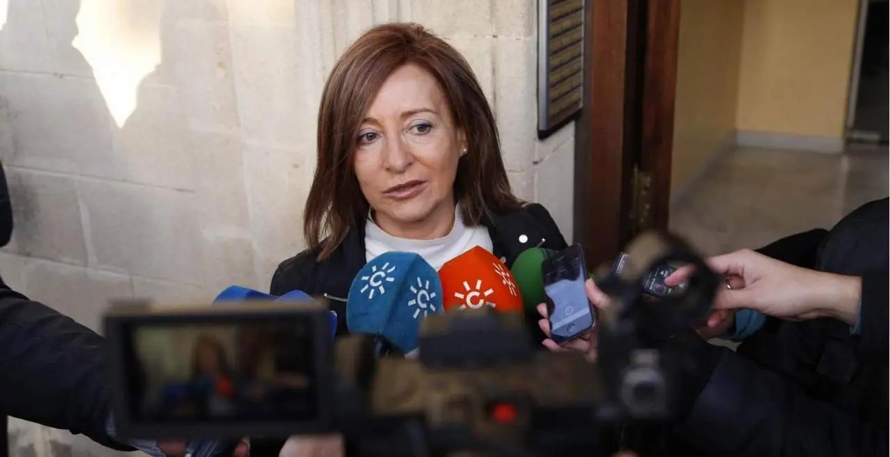 Pilar S&aacute;nchez ha declarado este jueves en la Audiencia Nacional - Cristo Garc&iacute;a