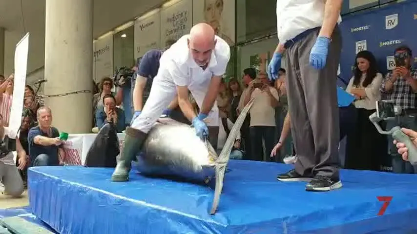 El ronqueo del at&uacute;n en el Mercado del Carmen, todo un &eacute;xito