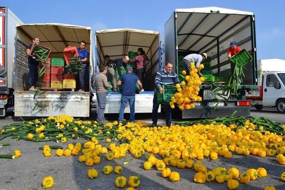 Agricultores andaluces protestan por los precios del pimiento arrojando kilos de producto al suelo. - EP