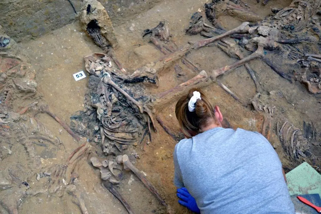 Trabajos de exhumaci&oacute;n en una fosa en el cementerio de San Fernando, en C&aacute;diz. - Amede
