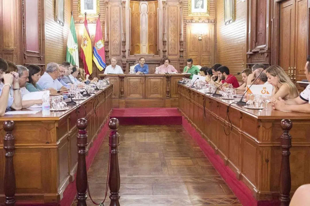 Un momento del Pleno Extraordinario - A. I.