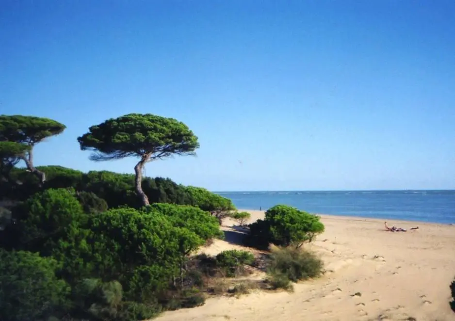 Playa Nuevo Portil. - VH