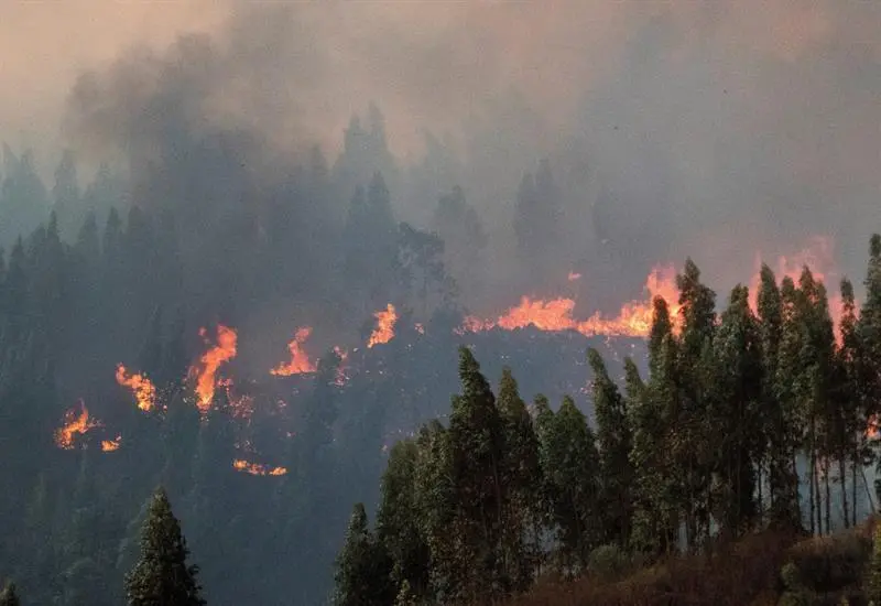 El incendio. - EFE