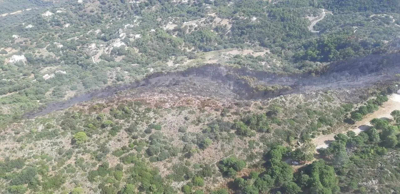 Vista a&eacute;rea del incendio. - Infoca