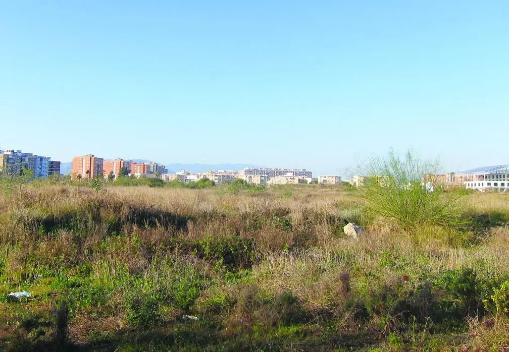 Los terrenos para el Bosque Verde. - VM