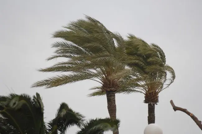 Vientos y lluvias. - Viva