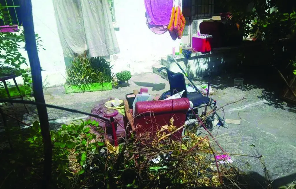 Una imagen del patio de la casa ocupada.  - Viva