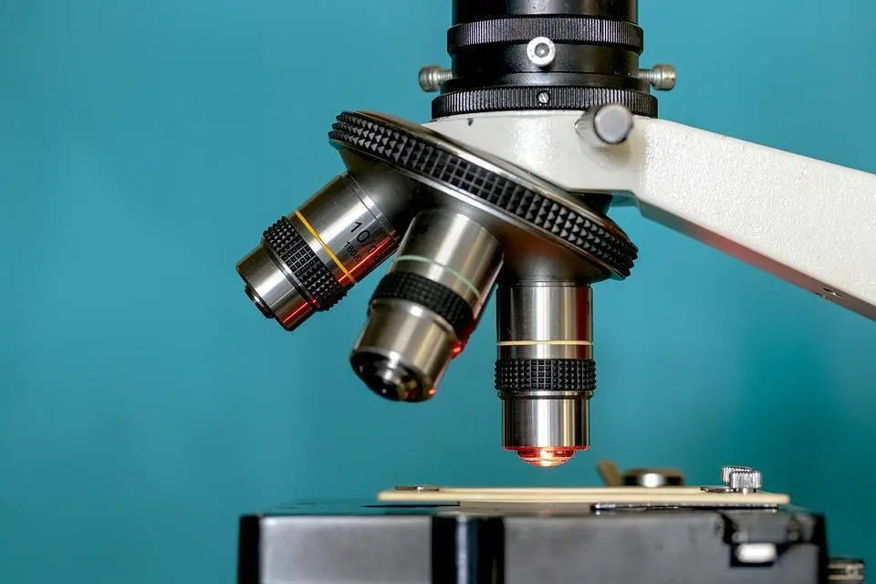 microscopio. - 
