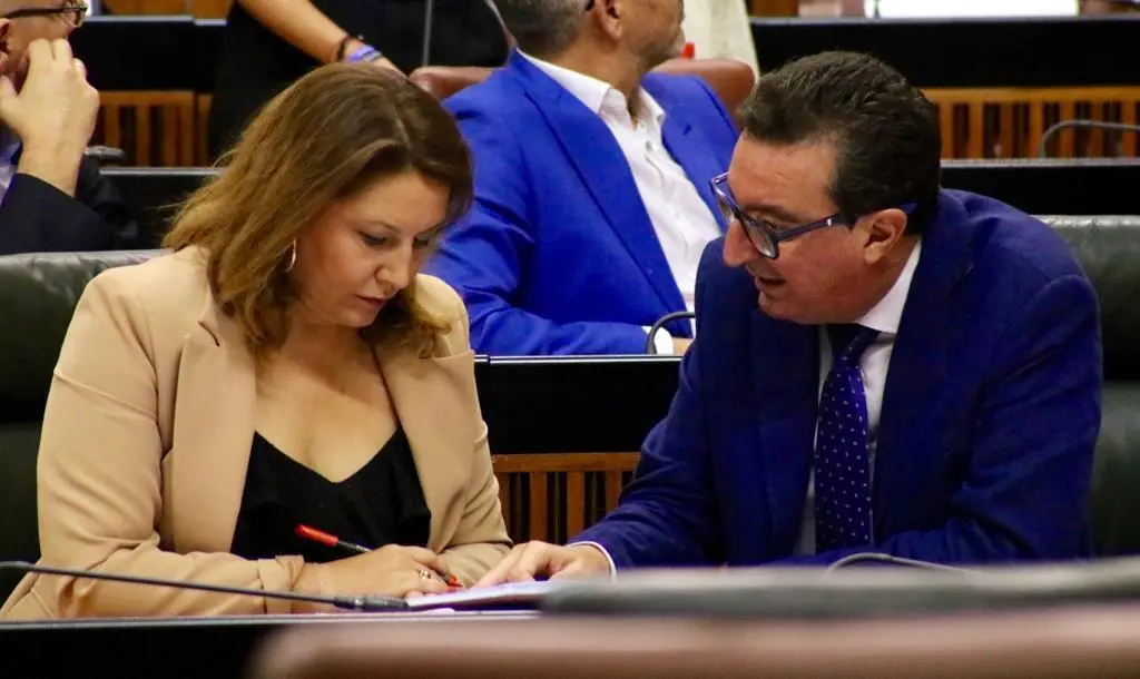 Gonz&aacute;lez junto a la consejera Crespo en el Parlamento. - VH