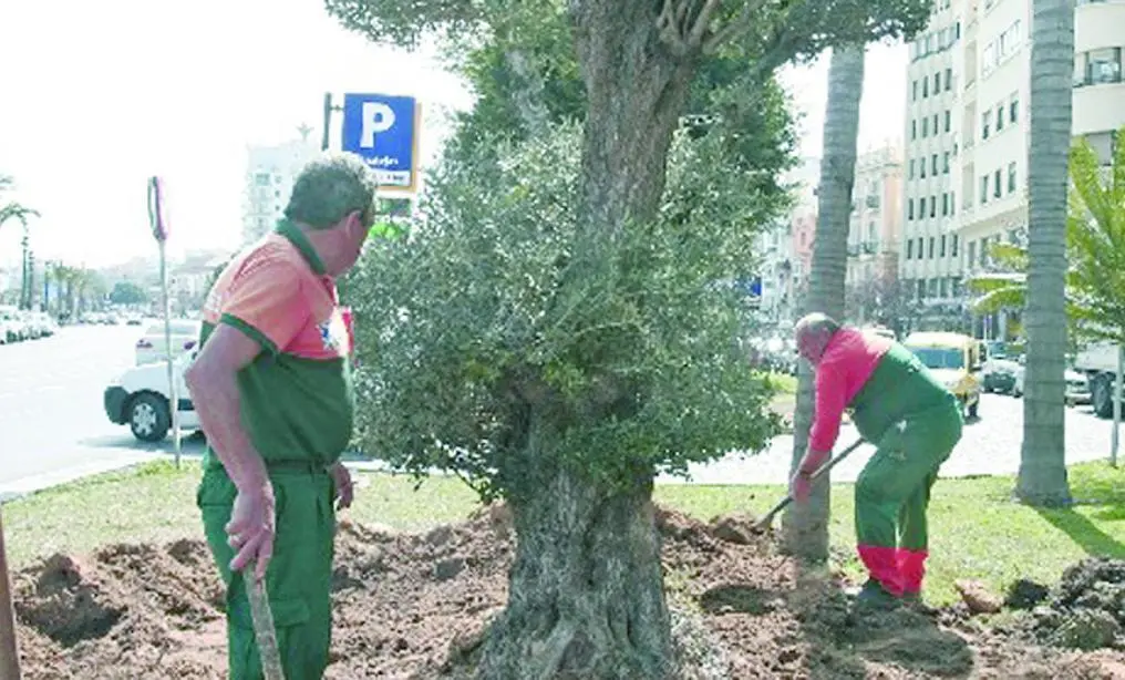 Trabajadores de parques y jardines.  - MF