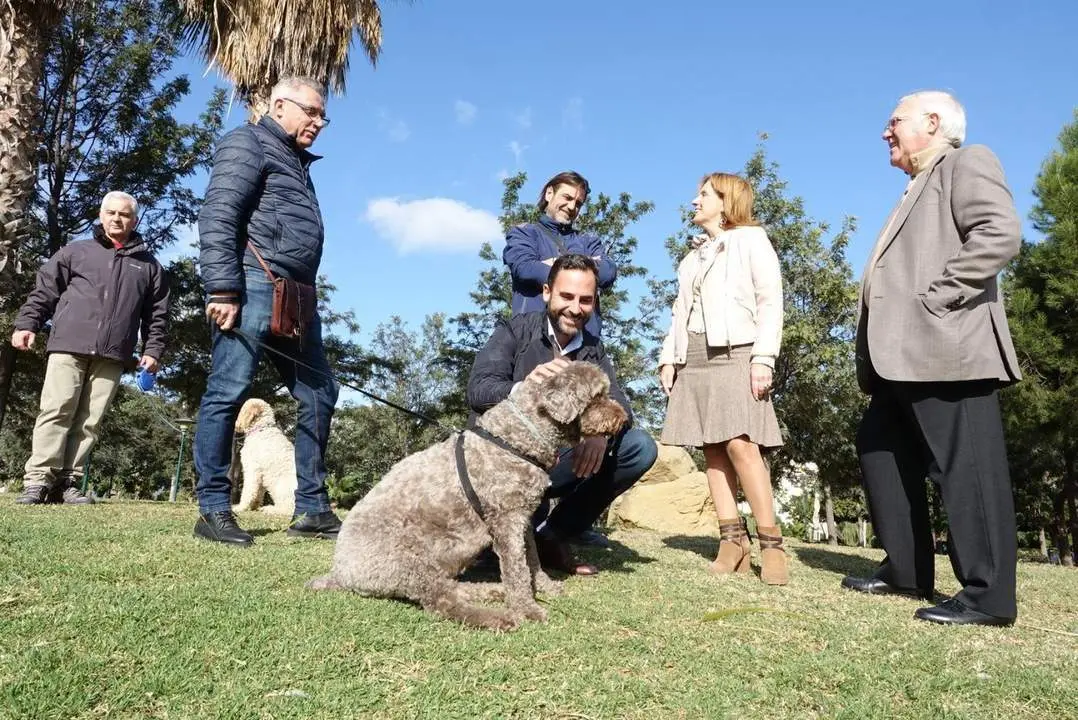 El portavoz municipal socialista, Daniel P&eacute;rez. - vm