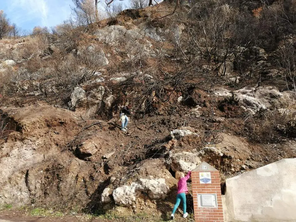 Bombas de semillas con tirachinas para reforestar incendio de Casares