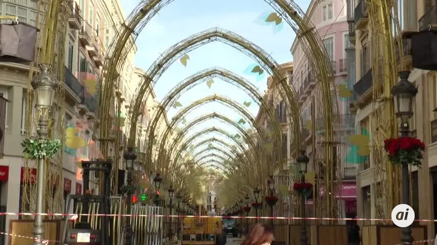 Banderas encender&aacute; el alumbrado de Navidad en calle Larios