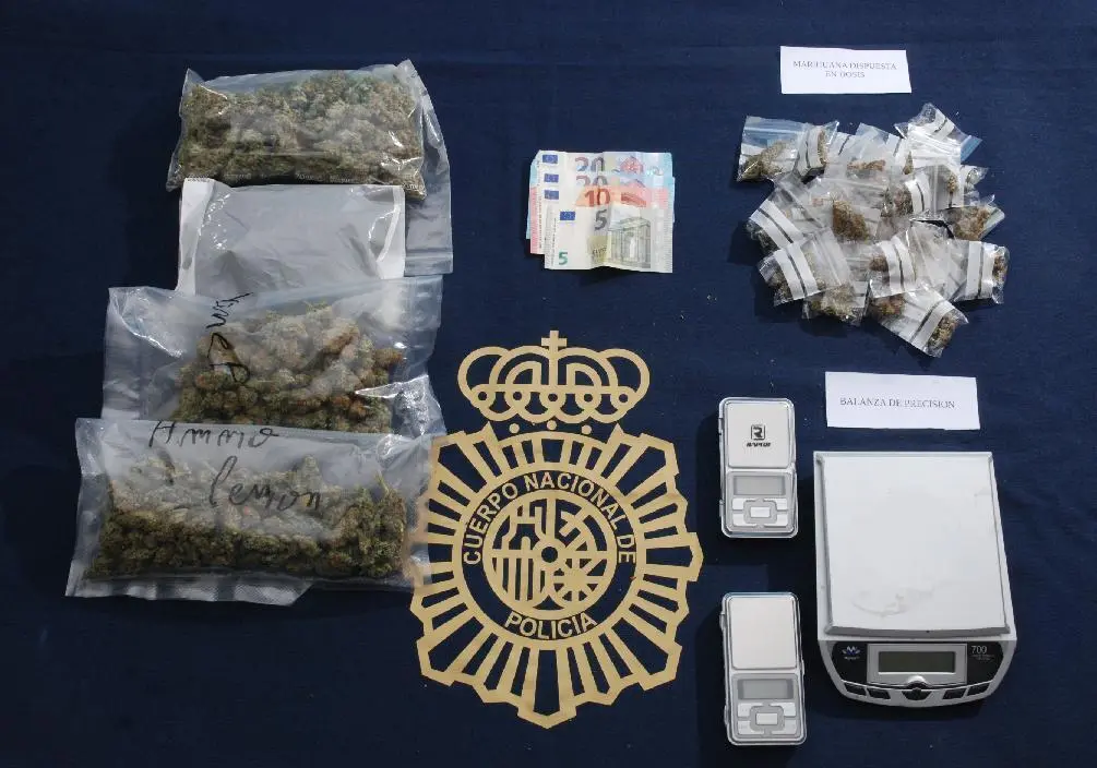 Material incautado por la polic&iacute;a. - vm