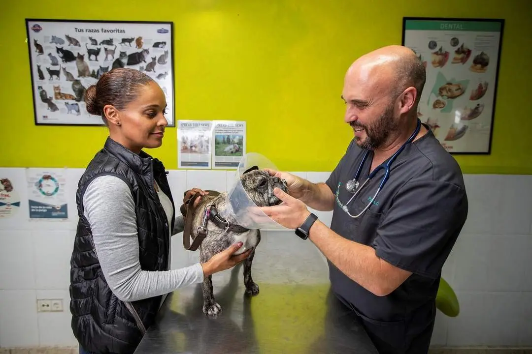 En el veterinario de  San Luis de Sabinillas. - EFE