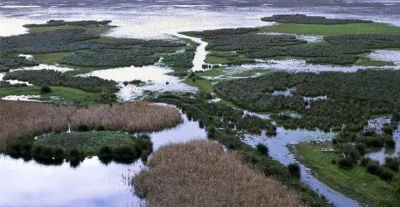 DO&Ntilde;ANA. - EFE